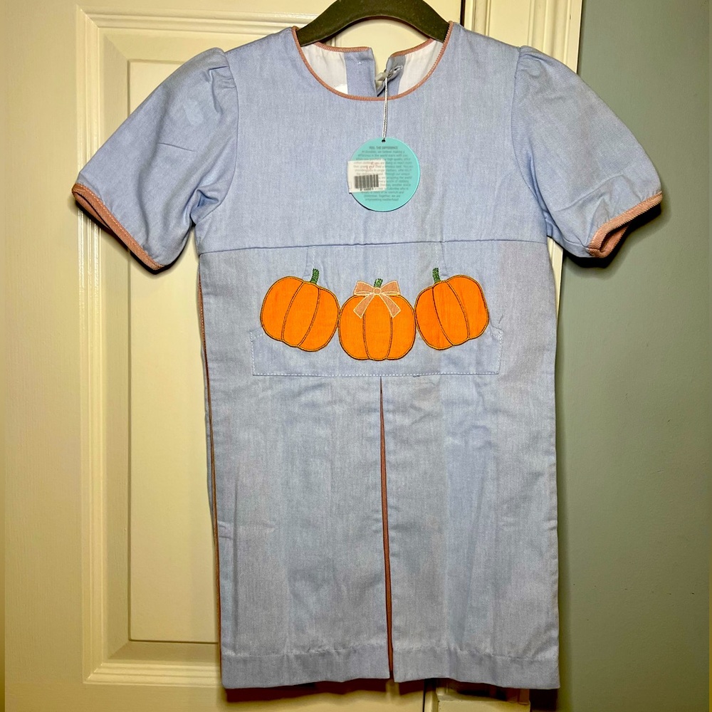 NWT 4T Pumpkin Chambray Boutique brand girls dress